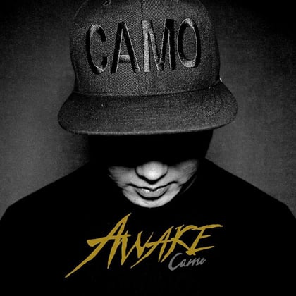 Awake album by Camo - Drum and Bass Cover Art