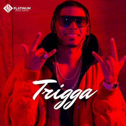 Trigga album by Trigga - Drum and Bass Cover Art