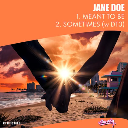 Meant To Be / Sometimes album by Jane Doe & DT3 - Drum and Bass Cover Art