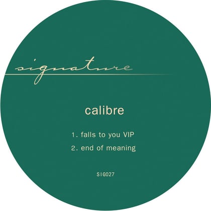 falls to you VIP / end of meaning album by Calibre - Drum and Bass Cover Art