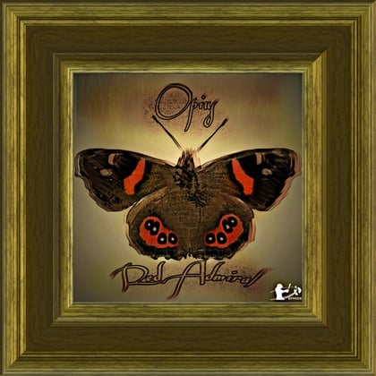 Red Admiral album by Opius - Drum and Bass Cover Art