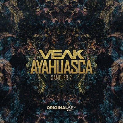 Ayahuasca Sampler 2 album by Veak - Drum and Bass Cover Art