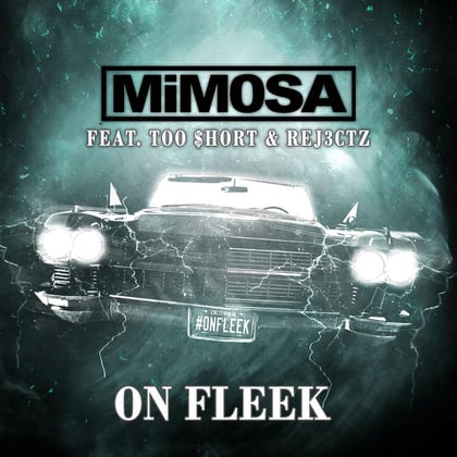 On Fleek album by MiM0SA - Drum and Bass Cover Art