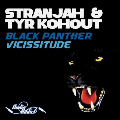 Black Panther / Vicissitude album by STRANJAH & Tyr Kohout - Drum and Bass Cover Art