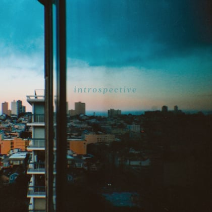 Introspective album by Bru-C - Drum and Bass Cover Art
