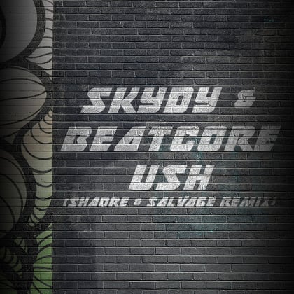 Ush (Shadre, Salvage Remix) album by Shadre, Salvage, SkyDy & Beatcore - Drum and Bass Cover Art