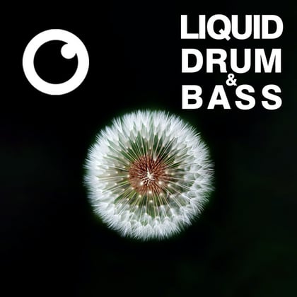 Liquid Drum & Bass Sessions #51 album by Dreazz - Drum and Bass Cover Art