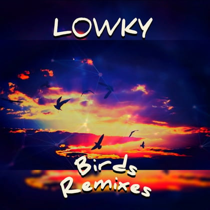 Birds Remixes album by L0WKY - Drum and Bass Cover Art