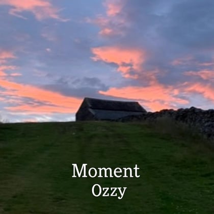 Moment album by Ozzy - Drum and Bass Cover Art