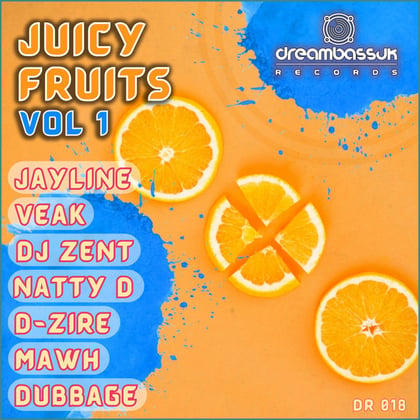 Truth & Rights album by Dj Zent - Drum and Bass Cover Art