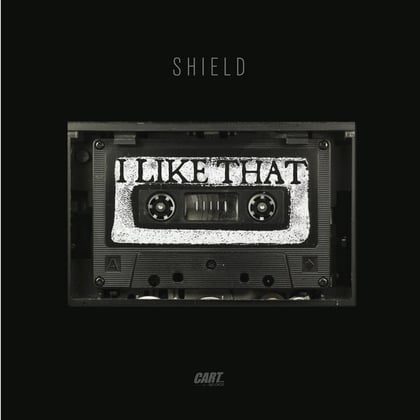 I Like That album by Shield - Drum and Bass Cover Art