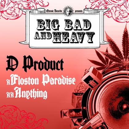 Floston Paradise / Anything album by D Product - Drum and Bass Cover Art