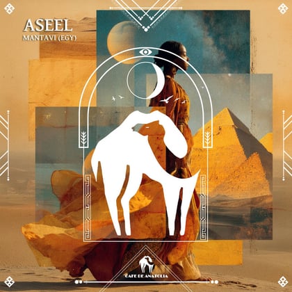 Aseel album by Tengu, MANTAVI (EGY) & Cafe De Anatolia - Drum and Bass Cover Art