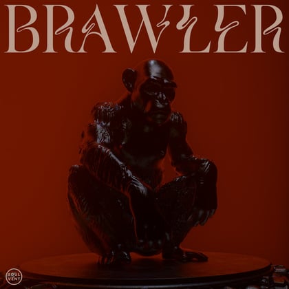 Brawler album by Hugh Hardie - Drum and Bass Cover Art