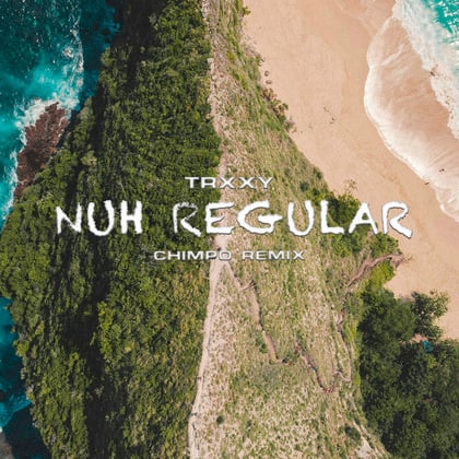 Nuh Regular (Chimpo Remix) album by Chimpo - Drum and Bass Cover Art