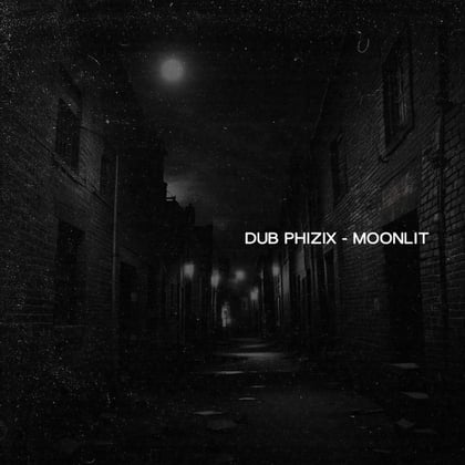 Moonlit album by Dub Phizix - Drum and Bass Cover Art