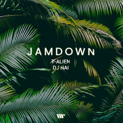 Jamdown album by DJ Nai - Drum and Bass Cover Art