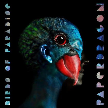Birds of Paradise album by Paper Dragon - Drum and Bass Cover Art