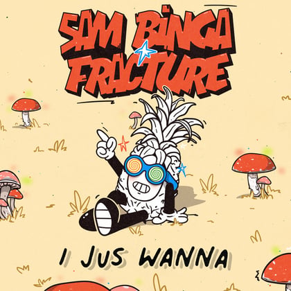 I Jus Wanna album by Fracture - Drum and Bass Cover Art