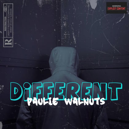 Different album by Paulie Walnuts - Drum and Bass Cover Art