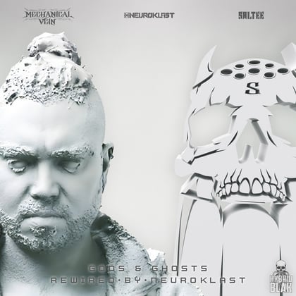 Gods & Ghosts - Rewired by Neuroklast album by Saltee - Drum and Bass Cover Art