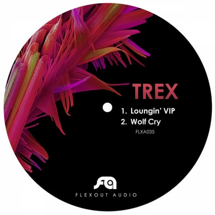 Loungin' Vip / Wolf Cry album by Teej & Trex - Drum and Bass Cover Art