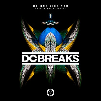 No One Like You (feat. Niara Scarlett) album by DC Breaks - Drum and Bass Cover Art
