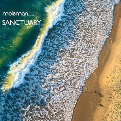 Sanctuary album by Moleman - Drum and Bass Cover Art