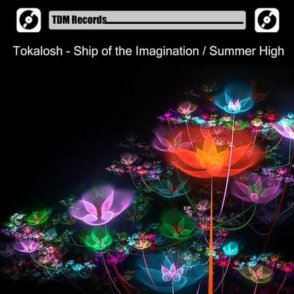 Ship of the Imagination / Summer High album by Tokalosh - Drum and Bass Cover Art