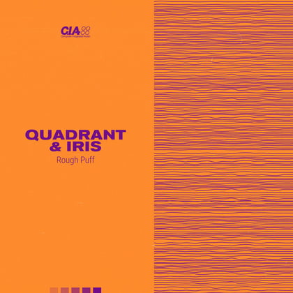 Rough Puff album by Quadrant & DEAD BATTERY - Drum and Bass Cover Art