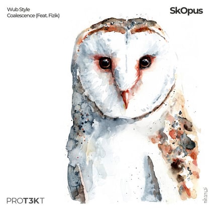 Wub Style/Coalescence album by SkOpus - Drum and Bass Cover Art