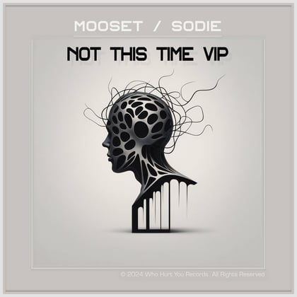 Not This Time VIP album by m00seT - Drum and Bass Cover Art
