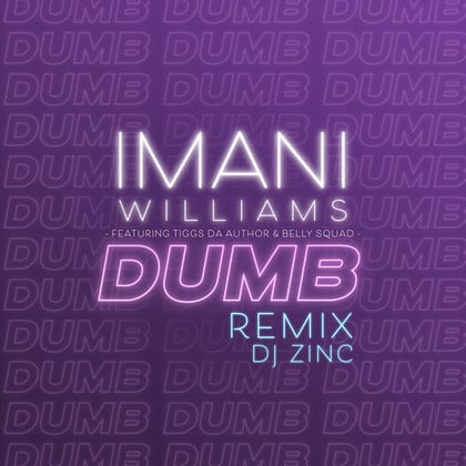 Dumb (feat. Tiggs Da Author & Belly Squad) [DJ Zinc Remix] album by DJ Zinc - Drum and Bass Cover Art