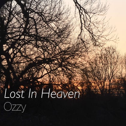 Lost In Heaven album by Ozzy - Drum and Bass Cover Art