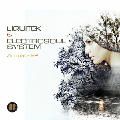 Animate EP album by Electrosoul System - Drum and Bass Cover Art
