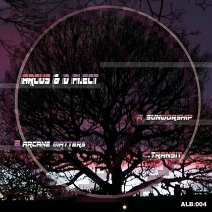 Sunworship album by ARCUS & D Flect - Drum and Bass Cover Art