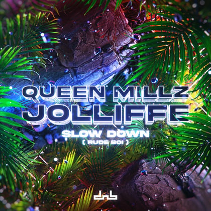 Slow Down (Rude Boi) album by Jolliffe - Drum and Bass Cover Art