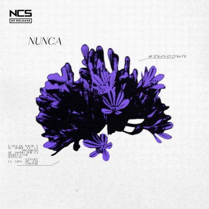 Nunca album by Wiguez - Drum and Bass Cover Art