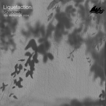 Shadows album by Liquefaction - Drum and Bass Cover Art
