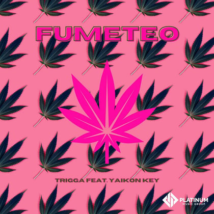 Fumeteo album by Trigga - Drum and Bass Cover Art
