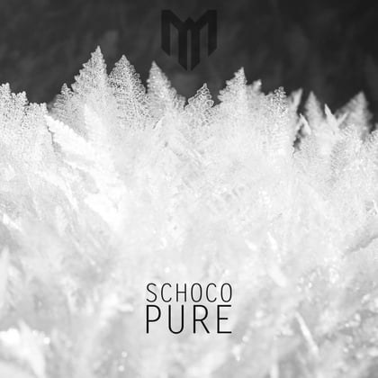 Pure album by Schoco - Drum and Bass Cover Art