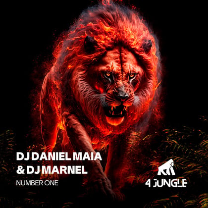 Number One album by DJ Marnel & DJ Daniel Maia - Drum and Bass Cover Art