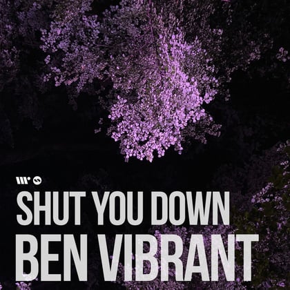 Shut You Down album by Ben Vibrant - Drum and Bass Cover Art