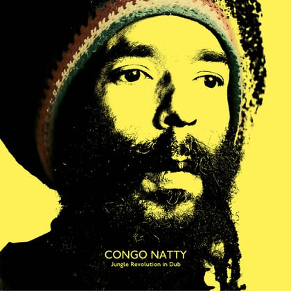 Jungle Revolution in Dub album by Congo Natty - Drum and Bass Cover Art