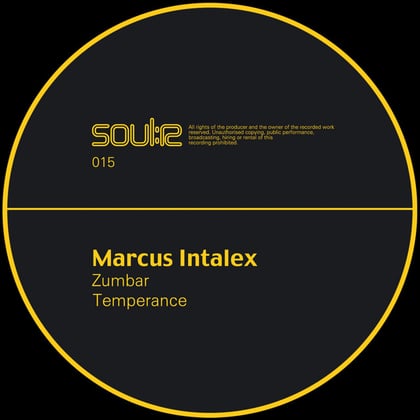 Zumbar / Temperance album by Marcus Intalex - Drum and Bass Cover Art
