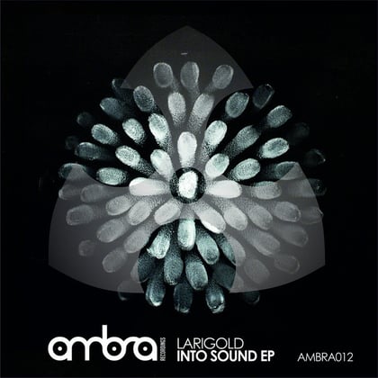 INTO SOUND EP album by Larigold - Drum and Bass Cover Art