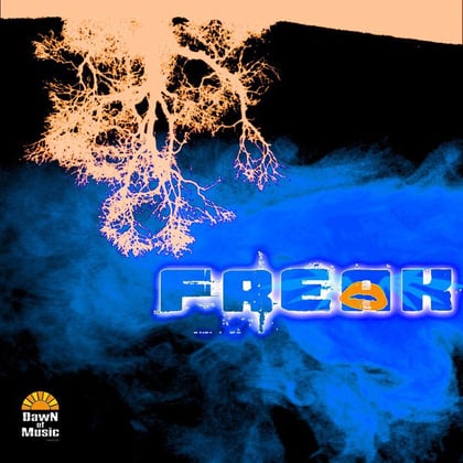 Freak album by Dub Head - Drum and Bass Cover Art