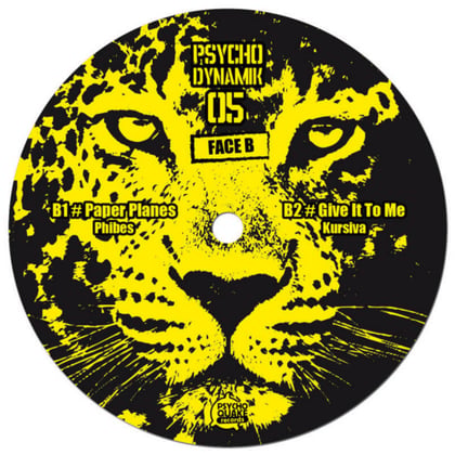 Psychodynamik 05 album by Aphrodite - Drum and Bass Cover Art