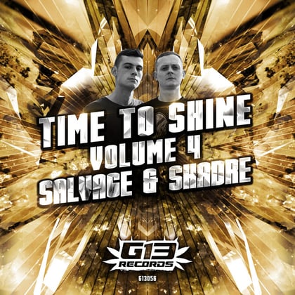 Time to Shine - Volume 4 album by Salvage & Shadre - Drum and Bass Cover Art