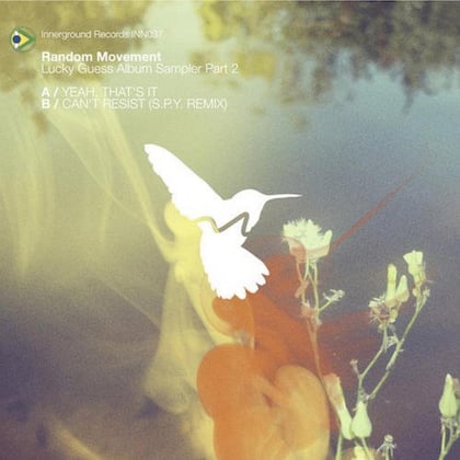 Lucky Guess Album Sampler Part 2 album by Random Movement - Drum and Bass Cover Art